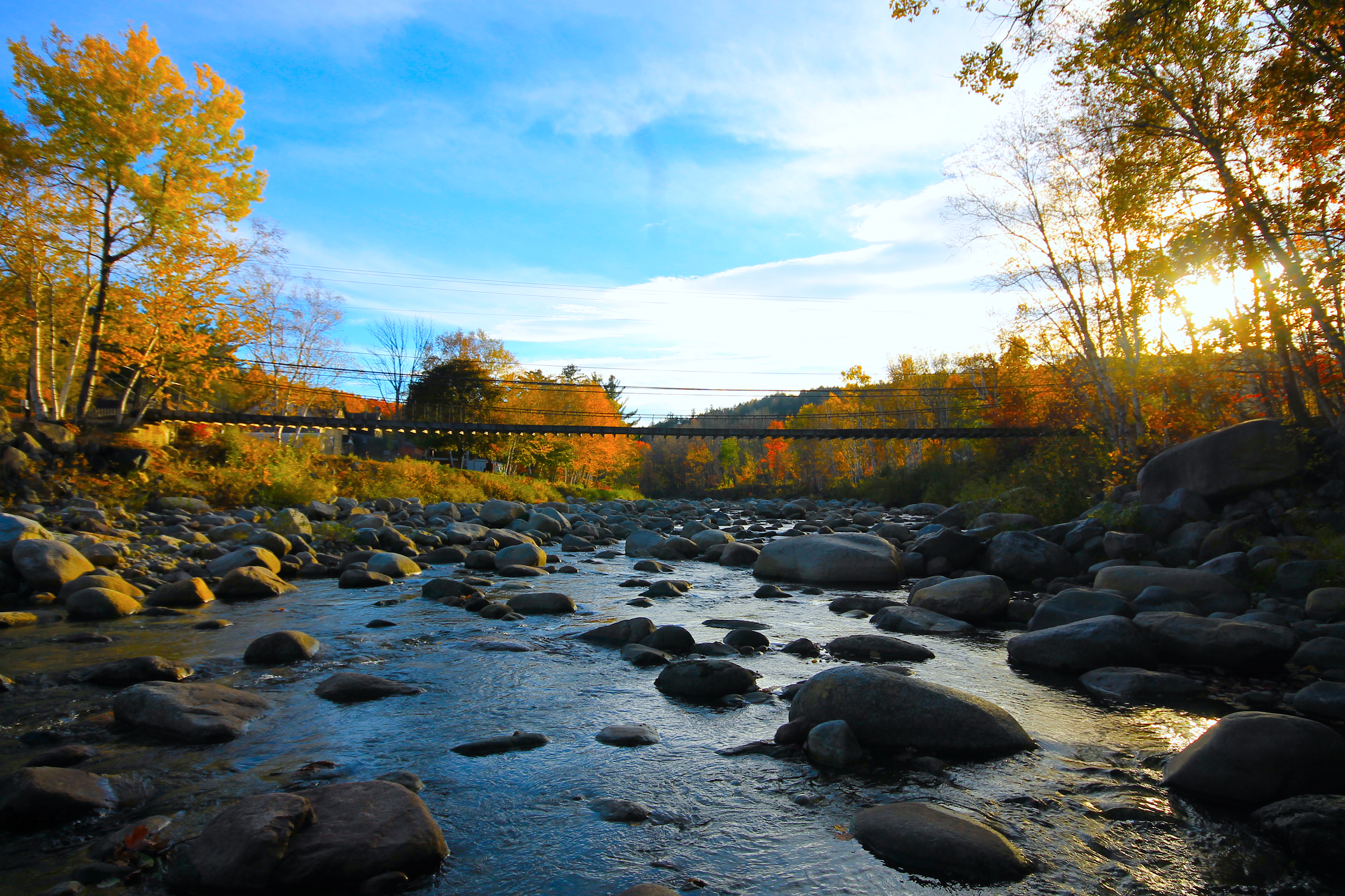 Swinging Bridge